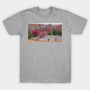 Where are all the cars T-Shirt